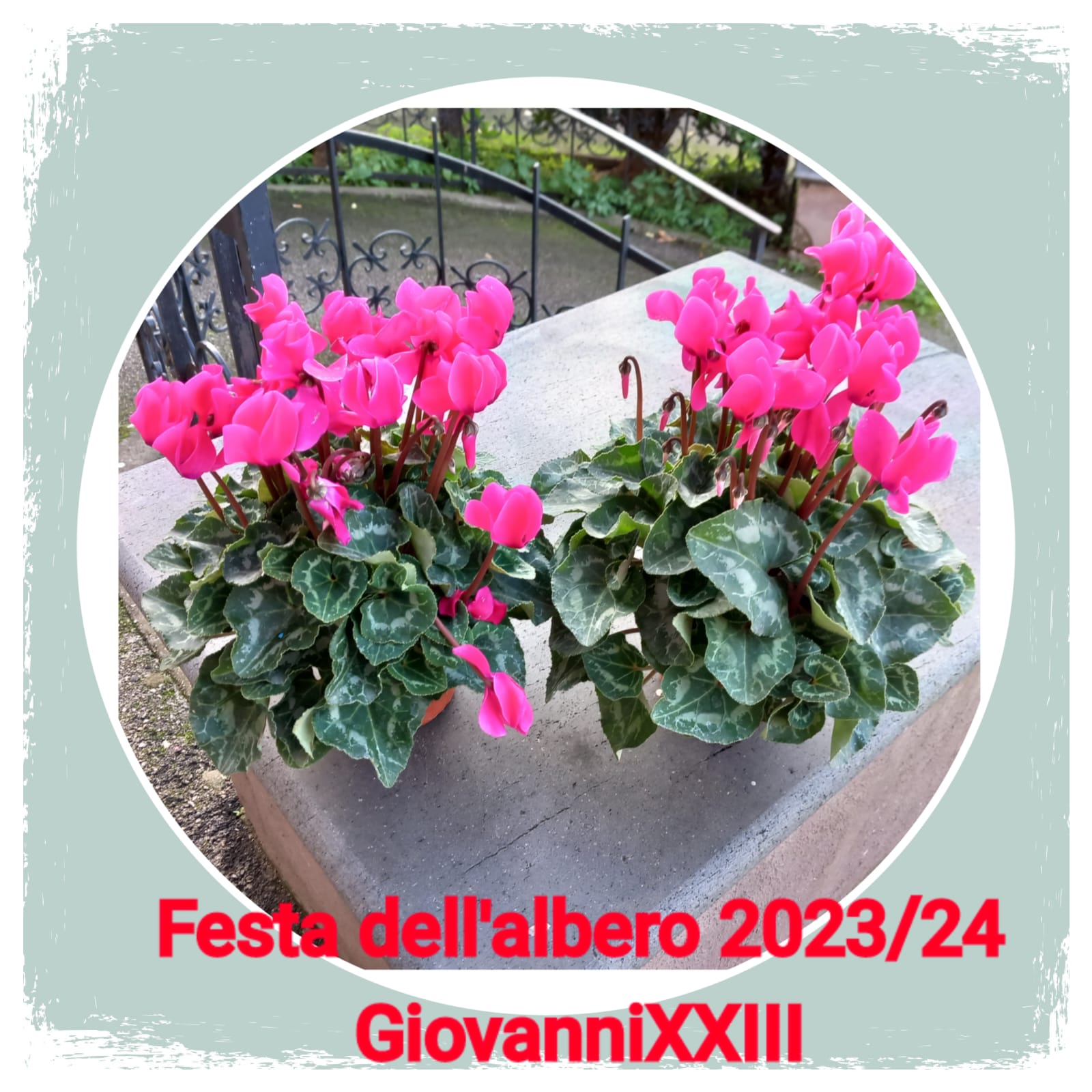 FESTA DELL’ALBERO IC2 Don Bosco 2023/24